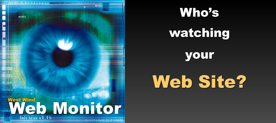 Web Monitor - Who's watching your site?